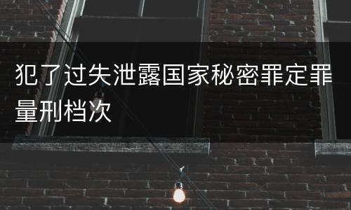 犯了过失泄露国家秘密罪定罪量刑档次