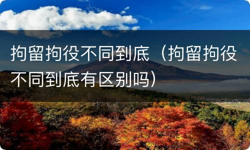 拘留拘役不同到底（拘留拘役不同到底有区别吗）