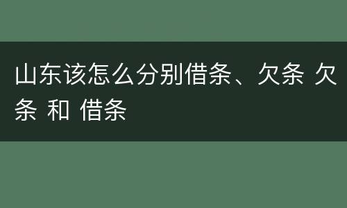 山东该怎么分别借条、欠条 欠条 和 借条