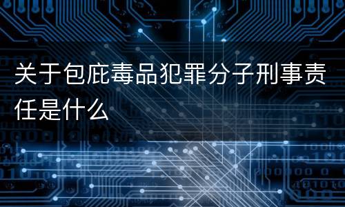 关于包庇毒品犯罪分子刑事责任是什么