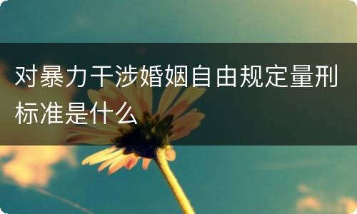 对暴力干涉婚姻自由规定量刑标准是什么