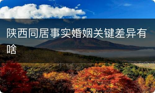 陕西同居事实婚姻关键差异有啥