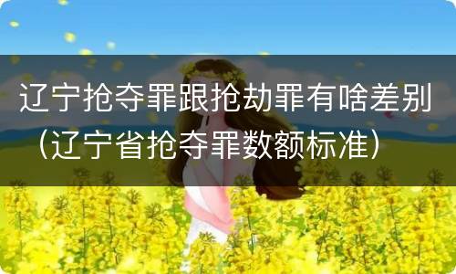 辽宁抢夺罪跟抢劫罪有啥差别（辽宁省抢夺罪数额标准）