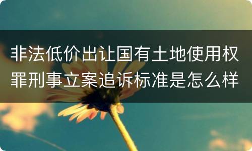 非法低价出让国有土地使用权罪刑事立案追诉标准是怎么样规定