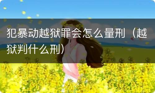 犯暴动越狱罪会怎么量刑（越狱判什么刑）