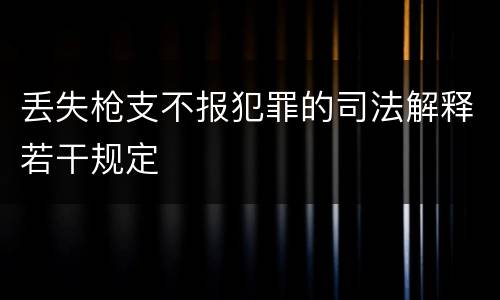 丢失枪支不报犯罪的司法解释若干规定