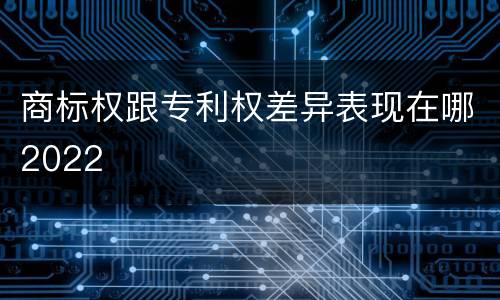商标权跟专利权差异表现在哪2022