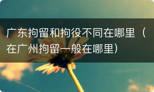 广东拘留和拘役不同在哪里（在广州拘留一般在哪里）