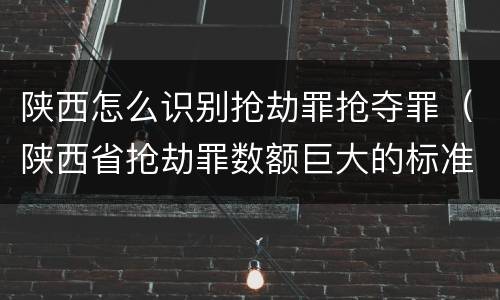 陕西怎么识别抢劫罪抢夺罪（陕西省抢劫罪数额巨大的标准）