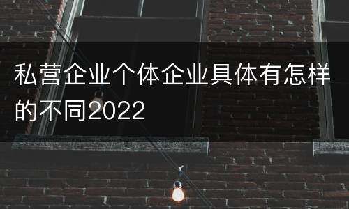 私营企业个体企业具体有怎样的不同2022