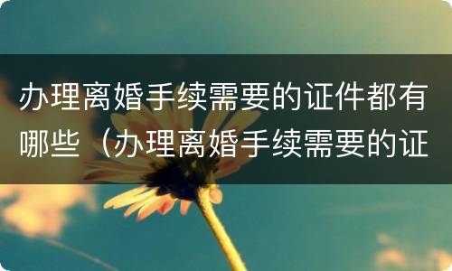 办理离婚手续需要的证件都有哪些（办理离婚手续需要的证件都有哪些呢）