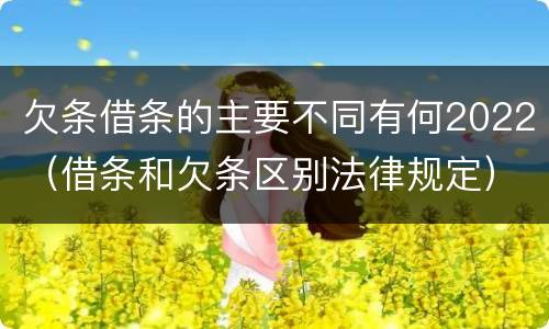 欠条借条的主要不同有何2022（借条和欠条区别法律规定）