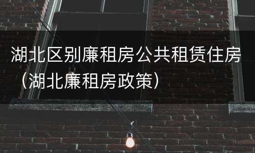 湖北区别廉租房公共租赁住房（湖北廉租房政策）