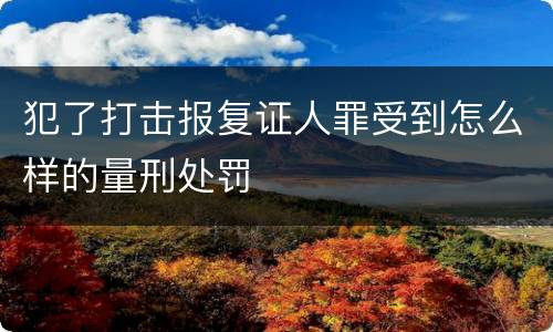 犯了打击报复证人罪受到怎么样的量刑处罚