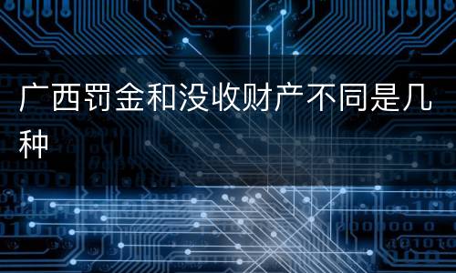 广西罚金和没收财产不同是几种