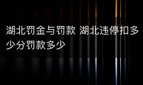 湖北罚金与罚款 湖北违停扣多少分罚款多少