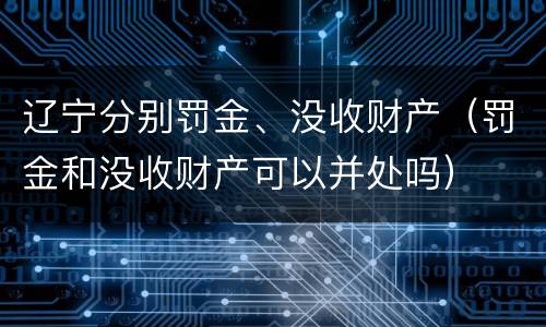 辽宁分别罚金、没收财产（罚金和没收财产可以并处吗）