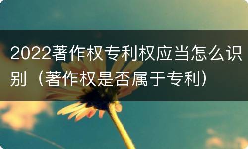 2022著作权专利权应当怎么识别（著作权是否属于专利）