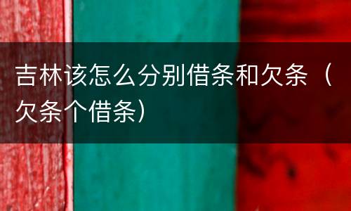 吉林该怎么分别借条和欠条（欠条个借条）