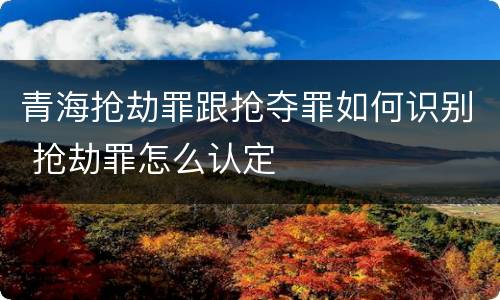 青海抢劫罪跟抢夺罪如何识别 抢劫罪怎么认定