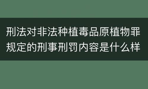 刑法对非法种植毒品原植物罪规定的刑事刑罚内容是什么样的