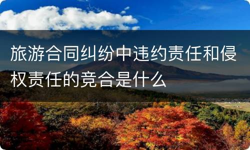 旅游合同纠纷中违约责任和侵权责任的竞合是什么