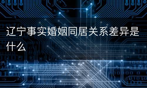 辽宁事实婚姻同居关系差异是什么