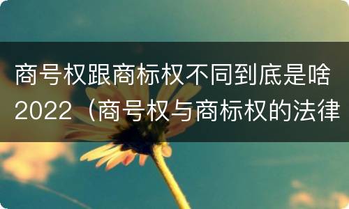 商号权跟商标权不同到底是啥2022（商号权与商标权的法律冲突与解决）