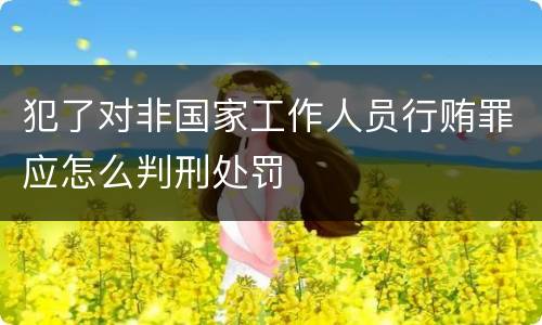 犯了对非国家工作人员行贿罪应怎么判刑处罚