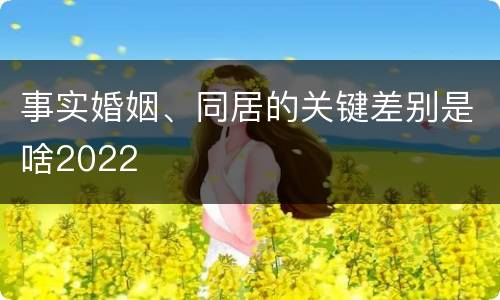 事实婚姻、同居的关键差别是啥2022