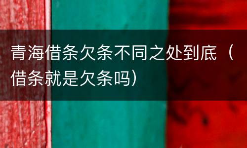 青海借条欠条不同之处到底（借条就是欠条吗）