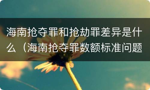 海南抢夺罪和抢劫罪差异是什么（海南抢夺罪数额标准问题的规定）