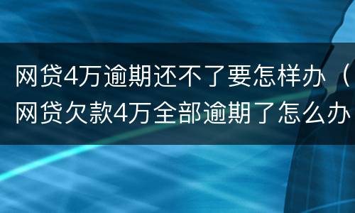 网贷4万逾期还不了要怎样办（网贷欠款4万全部逾期了怎么办）