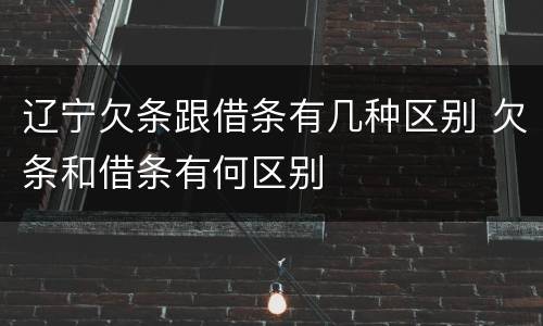 辽宁欠条跟借条有几种区别 欠条和借条有何区别