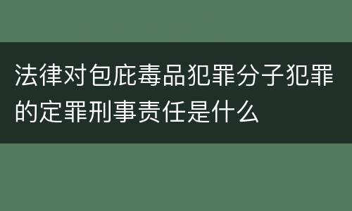 法律对包庇毒品犯罪分子犯罪的定罪刑事责任是什么