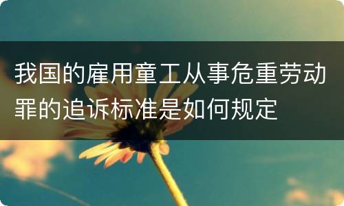 我国的雇用童工从事危重劳动罪的追诉标准是如何规定