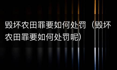 毁坏农田罪要如何处罚（毁坏农田罪要如何处罚呢）