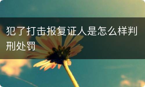 犯了打击报复证人是怎么样判刑处罚