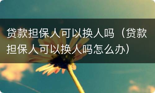 贷款担保人可以换人吗（贷款担保人可以换人吗怎么办）