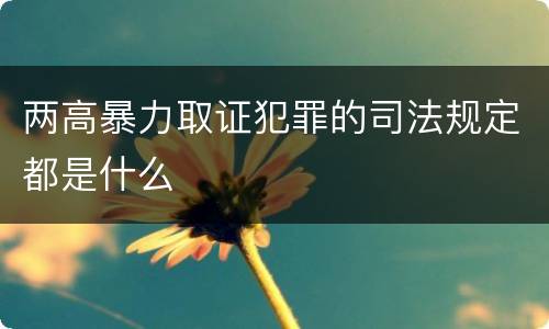 两高暴力取证犯罪的司法规定都是什么