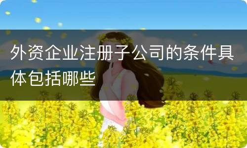 外资企业注册子公司的条件具体包括哪些
