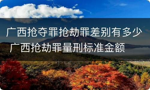 广西抢夺罪抢劫罪差别有多少 广西抢劫罪量刑标准金额