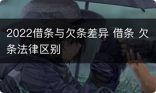 2022借条与欠条差异 借条 欠条法律区别