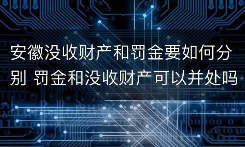 安徽没收财产和罚金要如何分别 罚金和没收财产可以并处吗