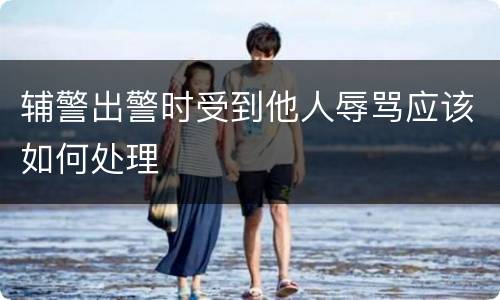 辅警出警时受到他人辱骂应该如何处理