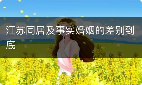 江苏同居及事实婚姻的差别到底