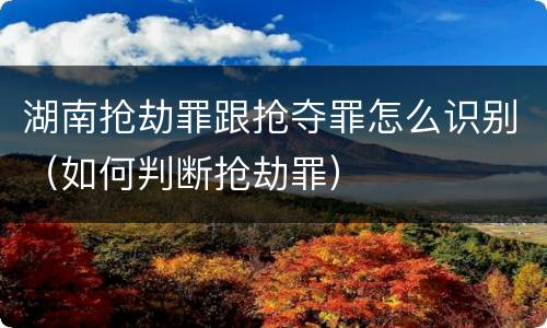 湖南抢劫罪跟抢夺罪怎么识别（如何判断抢劫罪）