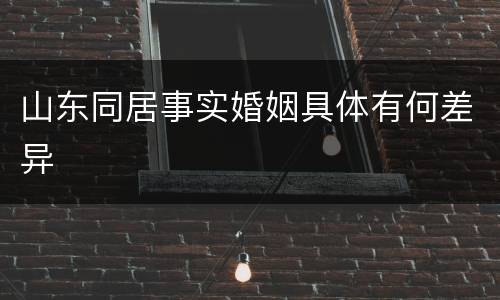 山东同居事实婚姻具体有何差异