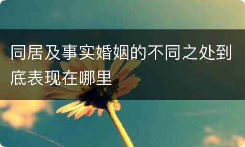 同居及事实婚姻的不同之处到底表现在哪里