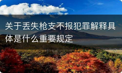 关于丢失枪支不报犯罪解释具体是什么重要规定